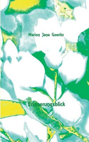 Kniha Erinnerungsblick Marion Jana Goeritz