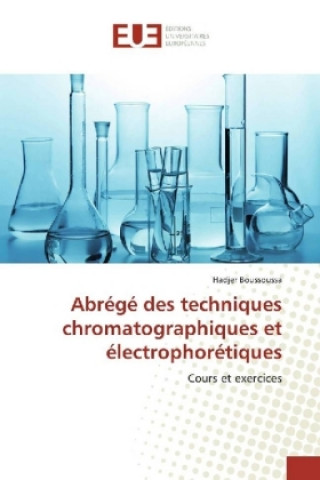 Kniha Abrégé des techniques chromatographiques et électrophorétiques Hadjer Boussoussa