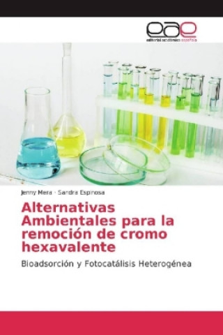 Buch Alternativas Ambientales para la remoción de cromo hexavalente Jenny Mera