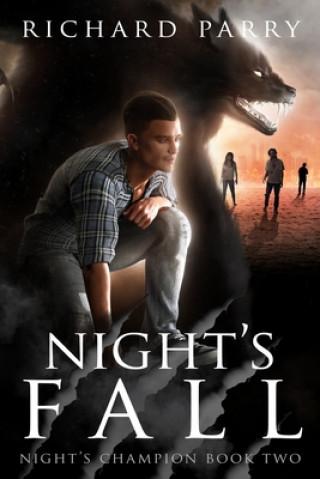 Buch Night's Fall Richard Parry
