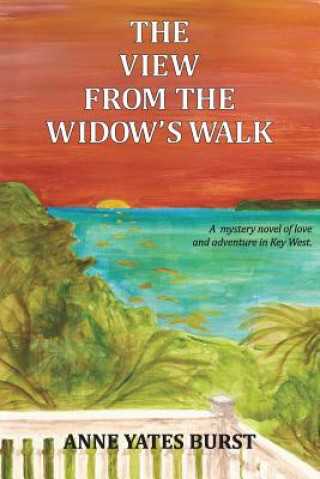 Könyv The View From The Widow's Walk: A mystery novel of love and adventure in Key West. Michele G Burst