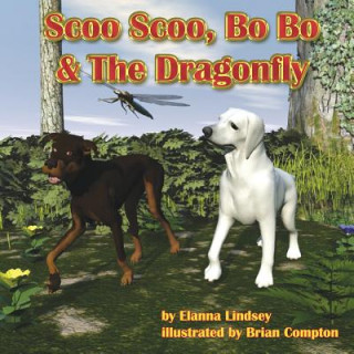 Buch Scoo Scoo, Bo Bo & The Dragonfly MS Elanna T Lindsey