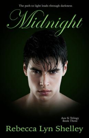 Knjiga Midnight Rebecca Lyn Shelley