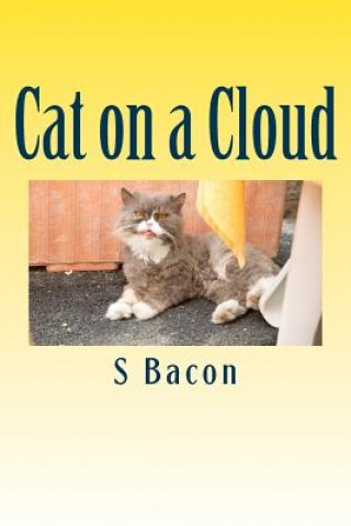 Knjiga Cat on a Cloud S a Bacon