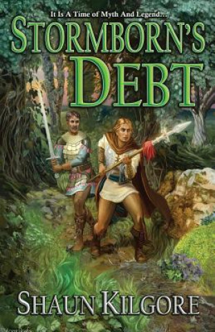 Kniha Stormborn's Debt Shaun Kilgore