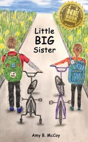 Könyv Little Big Sister Amy B McCoy
