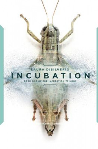 Buch Incubation Laura Disilverio