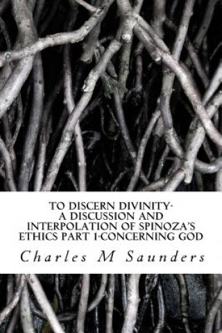 Kniha To Discern Divinity: A Discussion and Interpolation of Spinoza's Ethics Part 1-Concerning God MR Charles M Saunders