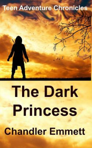 Książka The Dark Princess Chandler Emmett