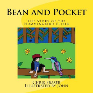 Book Bean and Pocket: The Story of the Hummingbird Elixir Chris D Fraser