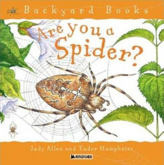 Könyv Are You a Spider? Judy Allen