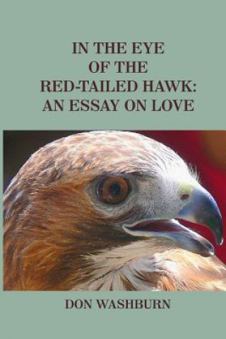Könyv In the Eye of the Red-Tailed Hawk: An Essay on Love Don Washburn