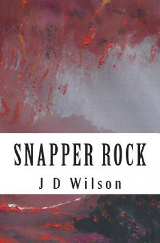 Book Snapper Rock J D Wilson
