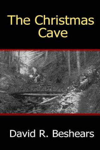 Kniha Christmas Cave David R Beshears