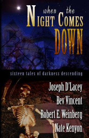 Kniha When The Night Comes Down Joseph D'Lacey