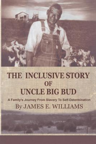 Könyv The Inclusive Story Of Uncle Big Bud MR James E Williams