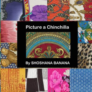 Book Picture a Chinchilla Shoshana Banana