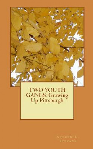 Könyv TWO YOUTH GANGS, Growing Up Pittsburgh MR Andrew L Stevans