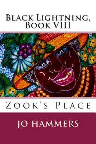Kniha Zook's Place: (Black Lightning, Book VIII) Jo Hammers