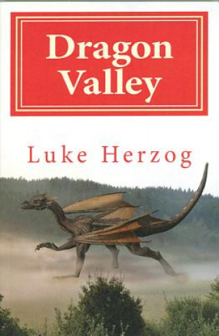 Książka Dragon Valley Luke Herzog