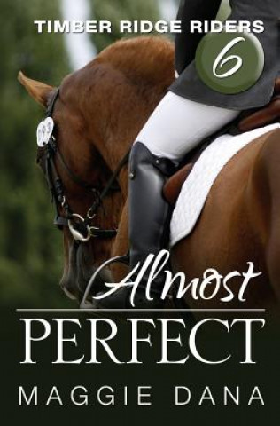 Book Almost Perfect Maggie Dana