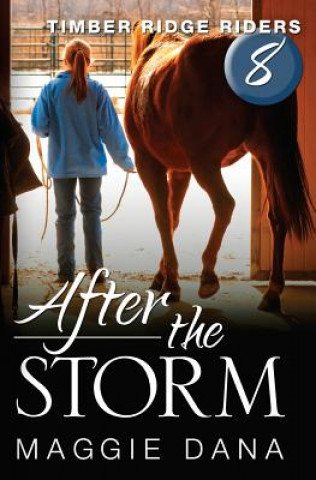 Boek After the Storm Maggie Dana