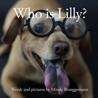 Buch Who is Lilly? Mindy Brueggemann