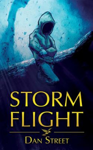 Kniha Storm Flight Dan Street