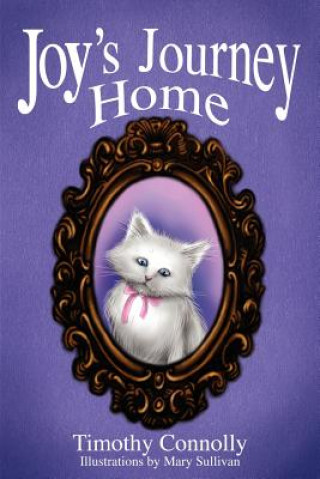 Kniha Joy's Journey Home Timothy Connolly
