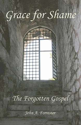 Kniha Grace for Shame: The Forgotten Gospel John A Forrester