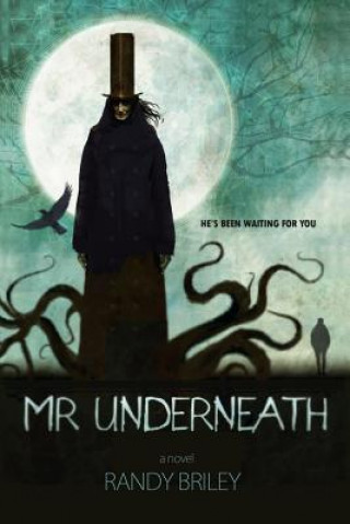 Könyv Mr Underneath MR Randy Briley