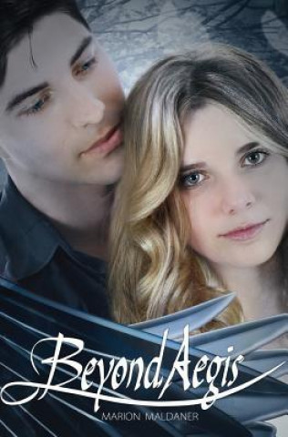 Buch Beyond Aegis Marion Maldaner