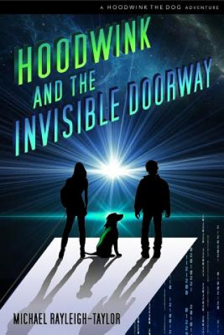 Book Hoodwink and the Invisible Doorway Michael Rayleigh-Taylor