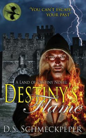Buch Destiny's Flame D S Schmeckpeper