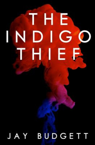 Kniha The Indigo Thief Jay Budgett