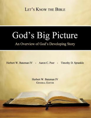 Kniha God's Big Picture: An Overview of God's Developing Story Dr Herbert W Bateman IV
