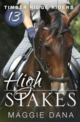 Book High Stakes Maggie Dana