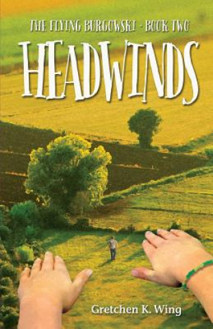 Knjiga Headwinds Gretchen K Wing