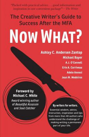 Kniha Now What?: The Creative Writer's Guide to Success After the MFA Ashley C Andersen Zantop
