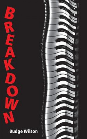 Buch Breakdown Budge Wilson