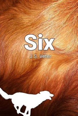 Buch Six J S Veter