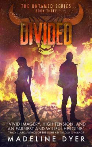 Knjiga Divided Madeline Dyer
