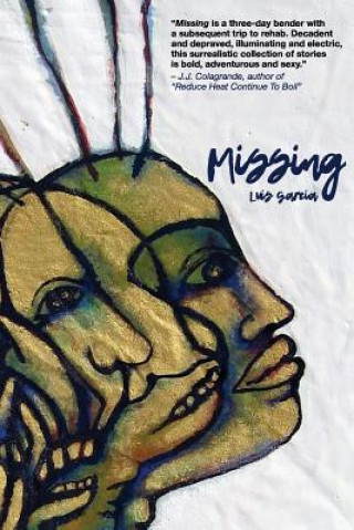 Kniha Missing Luis Garcia