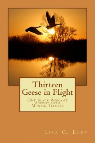 Könyv Thirteen Geese in Flight: One Black Woman's Ascent into Mental Illness Lisa G Eley