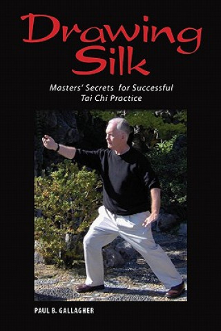 Kniha Drawing Silk: Masters' Secrets for Successful Tai Chi Practice Paul B Gallagher