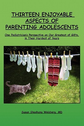 Könyv Thirteen Enjoyable Aspects of Parenting Adolescents: One Pediatrician's Perspective on Our Greatest of Gifts, in Their Hardest of Years Susan Shoshana Weisberg MD