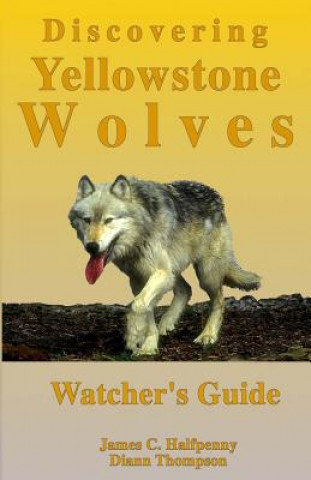 Knjiga Discovering Yellowstone Wolves: Watcher's Guide Diann Thompson