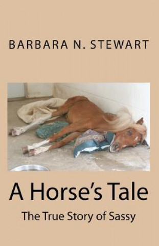 Kniha A Horse's Tale Barbara N Stewart