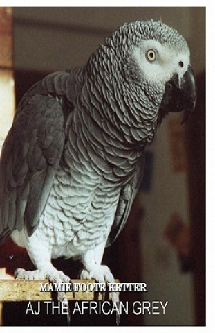 Kniha AJ The African Grey Mamie Foote Ketter