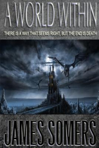 Boek A World Within James Somers